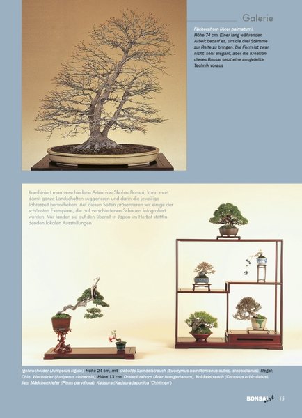 Shohin-Display von Bonsai-Art.jpg