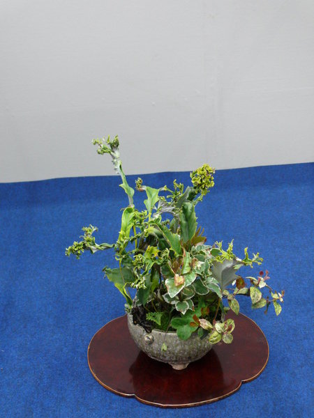 P1200046k.JPG