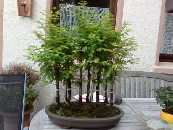 20170803_210444.jpg