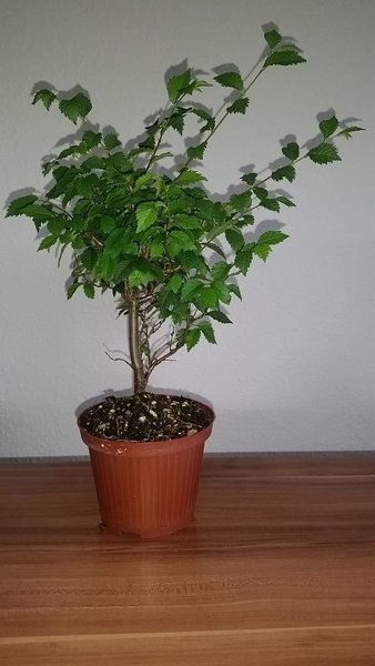20170803_27.jpg
