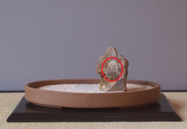 Figur_bearbeitet.jpg