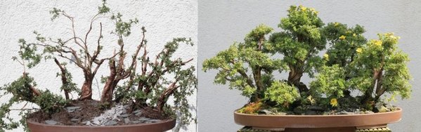 Potiwald-Marco-2015-2017.jpg