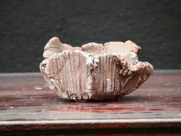 2015-unglasiert.JPG