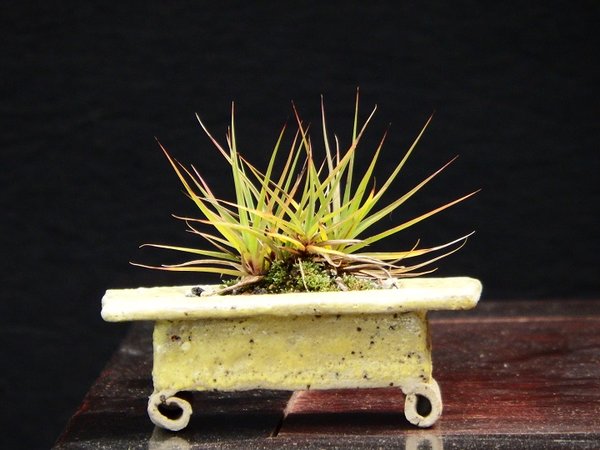 DSCF4970.JPG