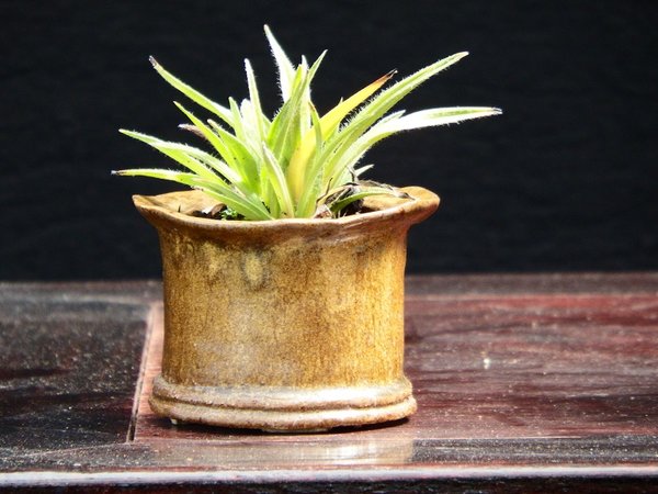 DSCF4983.JPG