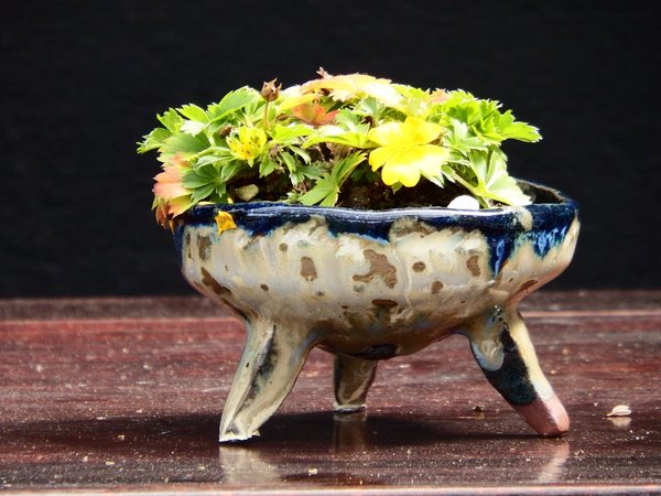 DSCF4989.JPG