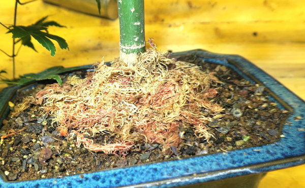 2015-08-16 -7.jpg