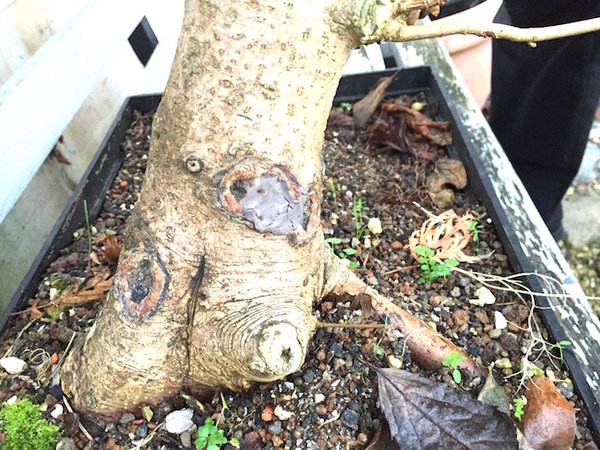 2015-12-07 -3.jpg