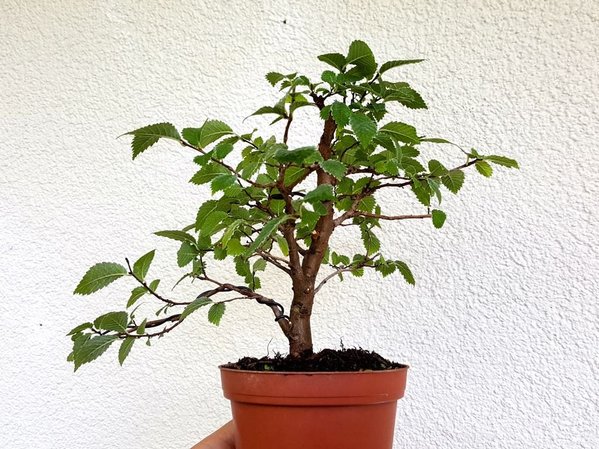 20170819_140821.jpg