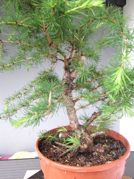 Mai 2013