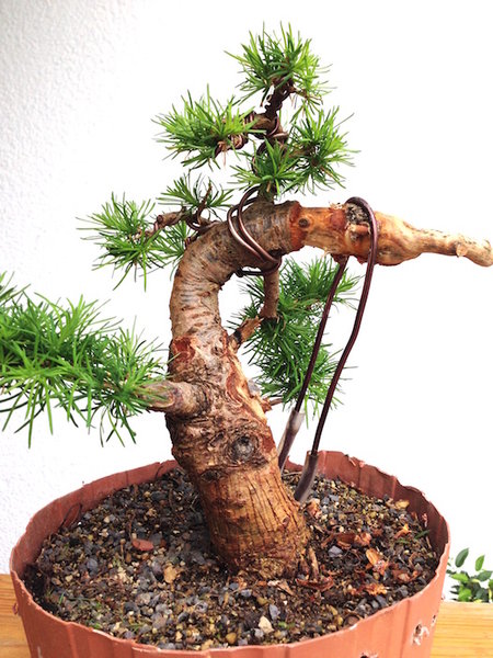 Mai 2015