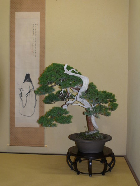 Großes Rollbild bei Kunio Kobayashi