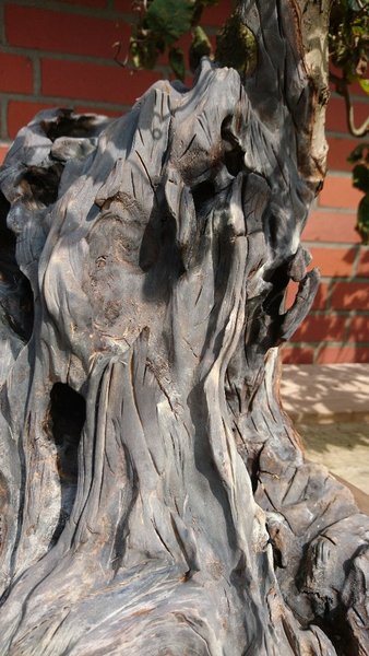DSC_0242-540x960.JPG