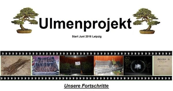!Ulmenprojekt.jpg