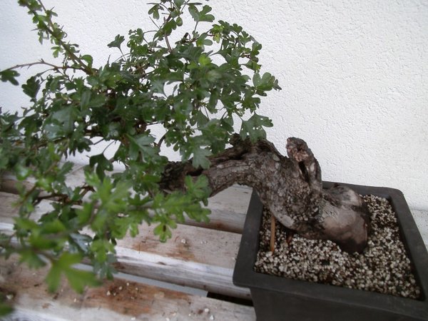schräg von oben