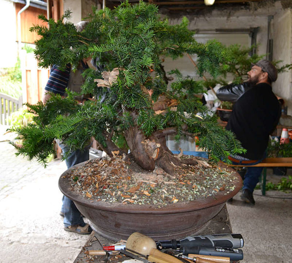 DSC_2485web.JPG