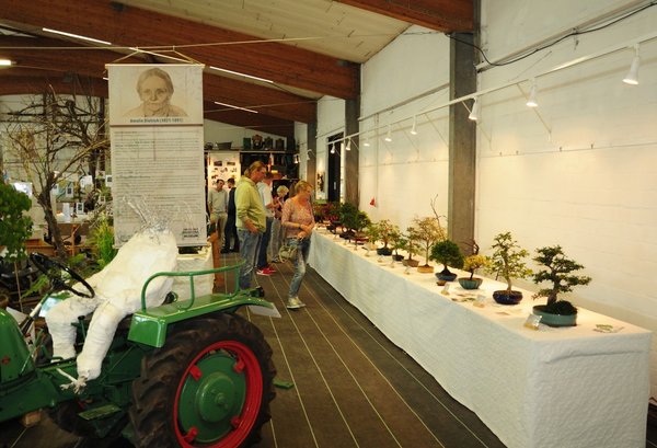 die Ausstellung