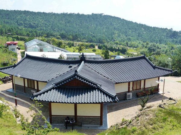 Cheonsaseom Bonsai Park auf der Insel Shinan Island