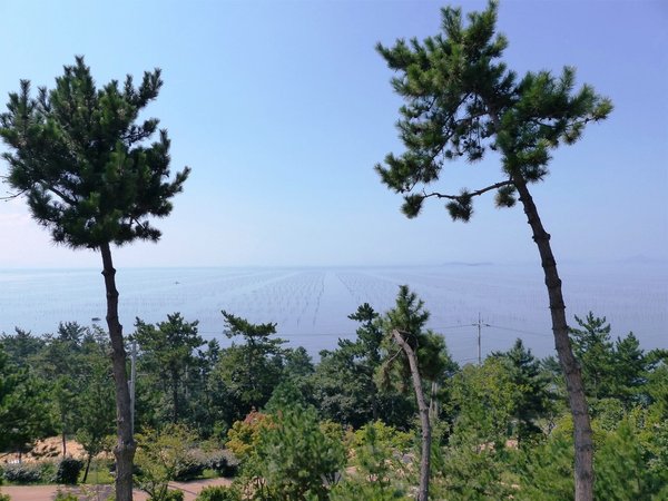 Cheonsaseom Bonsai Park auf der Insel Shinan Island