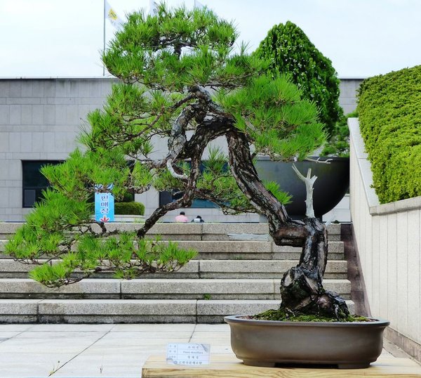 sP1040066.jpg