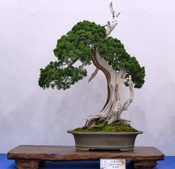 sP1040239.jpg