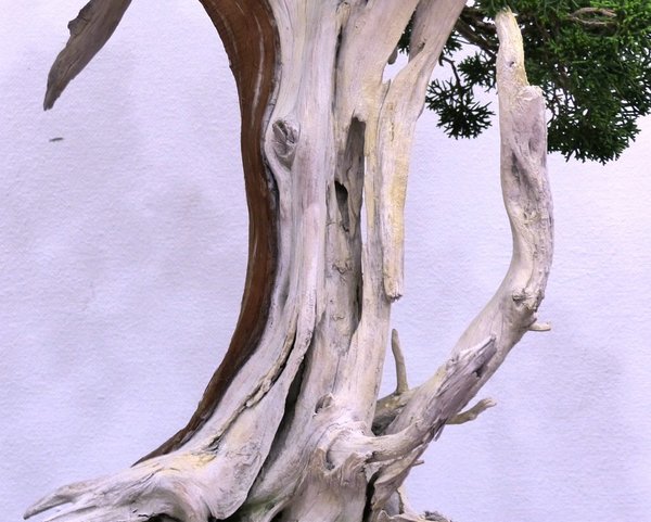 sP1040240.jpg