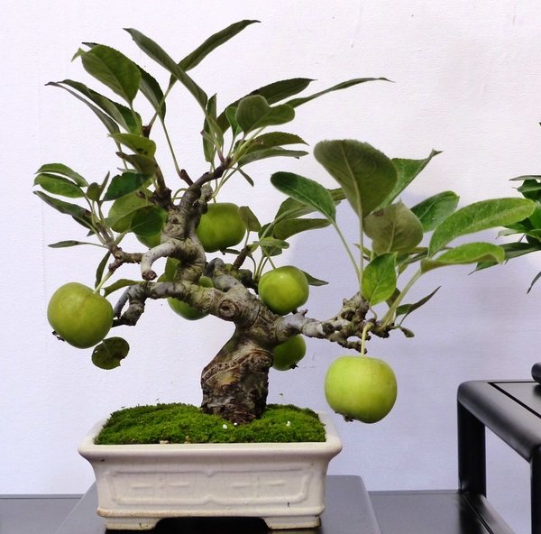 sP1040314.jpg