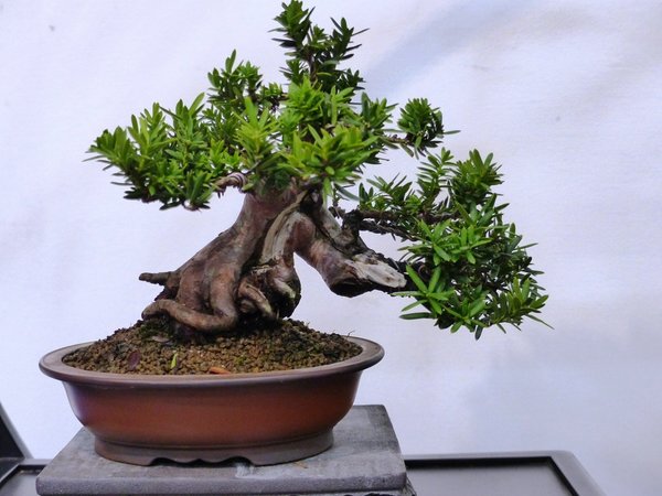 sP1040317.jpg