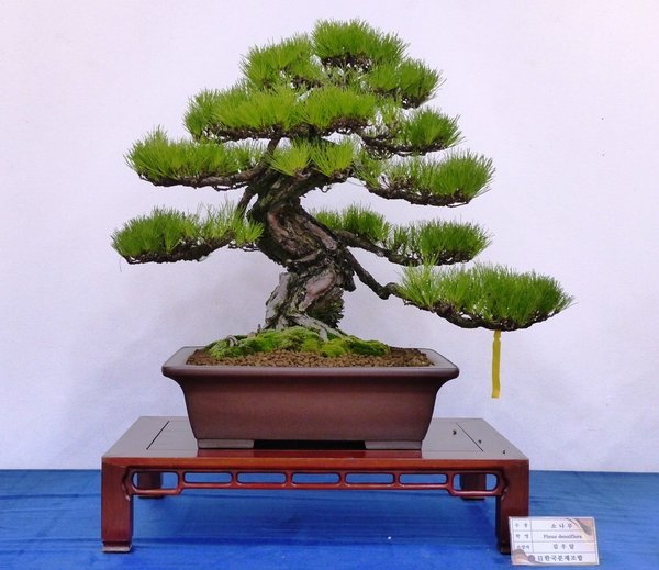 sP1040359.jpg