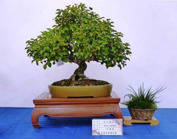 sP1040367.jpg