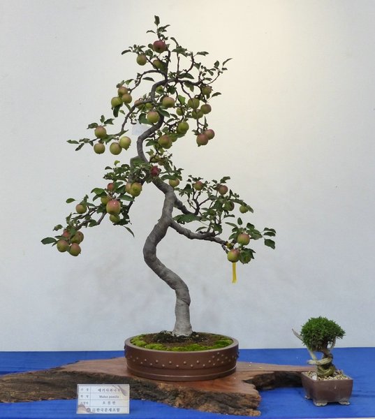 sP1040369.jpg