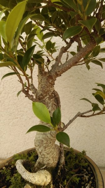 Detail