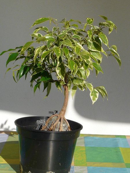 Herbst 2011