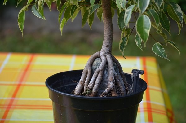 Herbst 2012