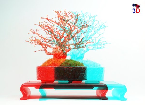 03/17 - Korkulme in 3D Anaglyph