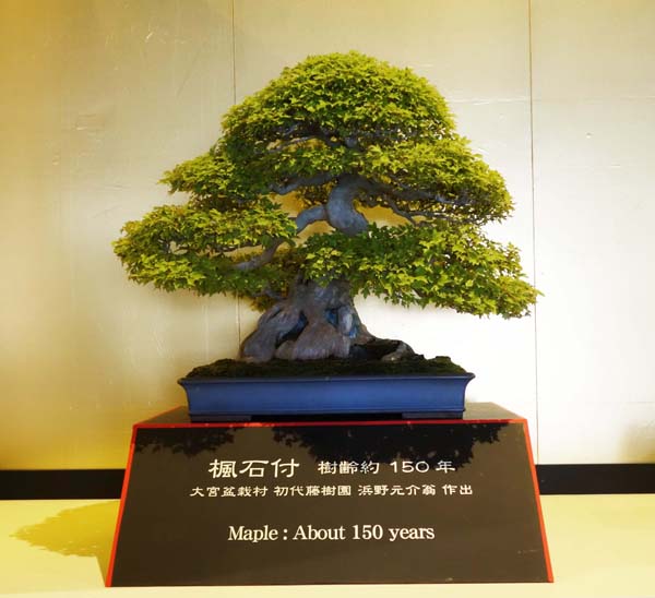 DSC01110-1_1.jpg