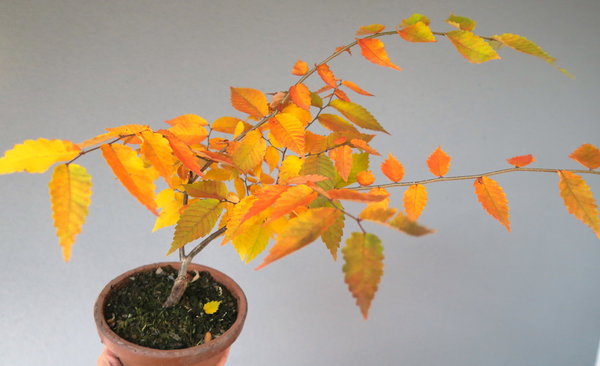 27. Sept 2017