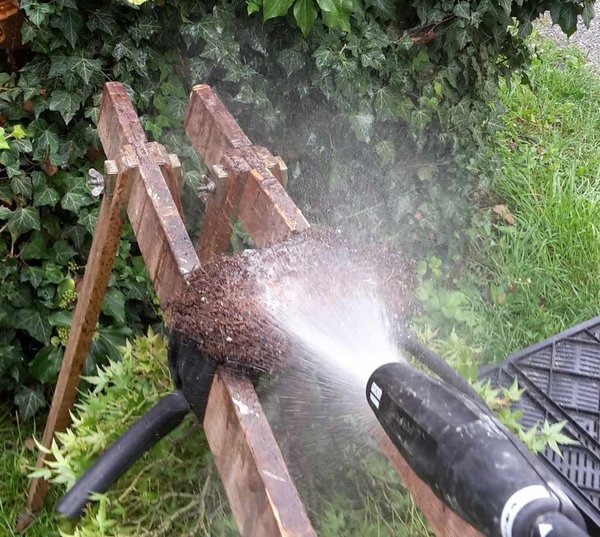 Dann wird die Ballenunterseite mit dem Hochdruckreiniger ausgespritzt was die Hand verträgt verträgt auch der Wurzelballen