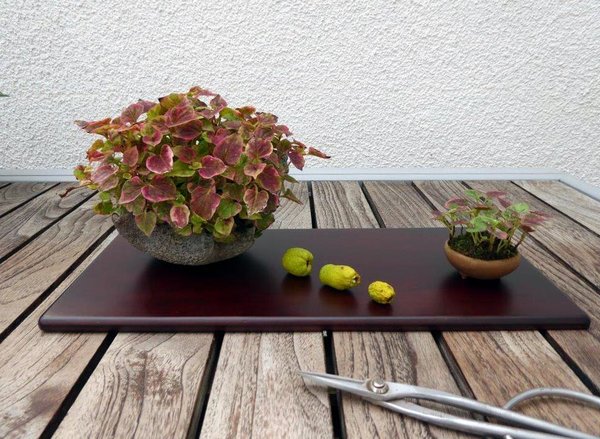 noch mal mit den schönen Früchten...
