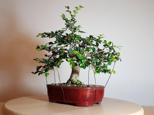 20171004_100440.jpg