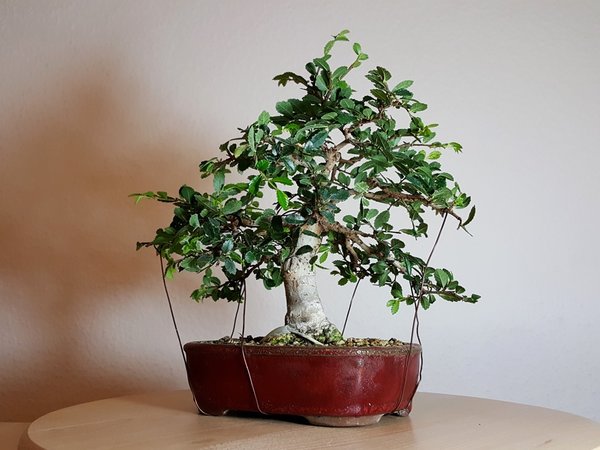 20171004_100521.jpg