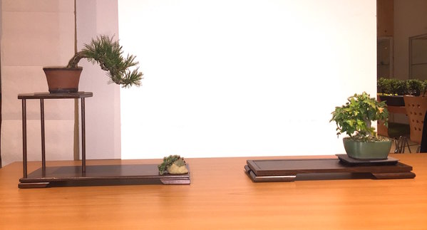 7: gefällt mir nicht. Links sind Kiefer und Hauswurz zu nah beisammen, rechts hat das Tablett die gleiche Größe (langweilig), der Baum ist zu klein, geht in der großen Schale unter, der Untersetzer irritiert. Hätte für mich auf einen motivbetonenden, dezenten Tisch gehört