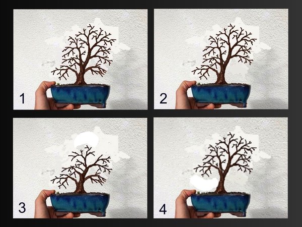 1-4.jpg
