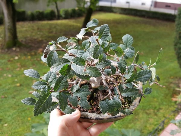 20171009_105538.jpg