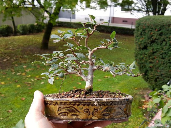 20171009_104302.jpg