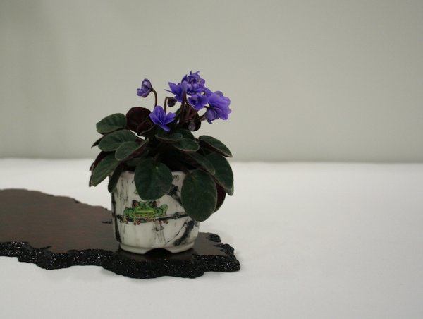 IMG_3391.jpg