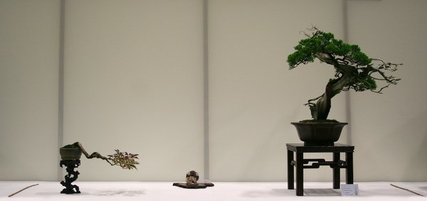 IMG_3382.jpg