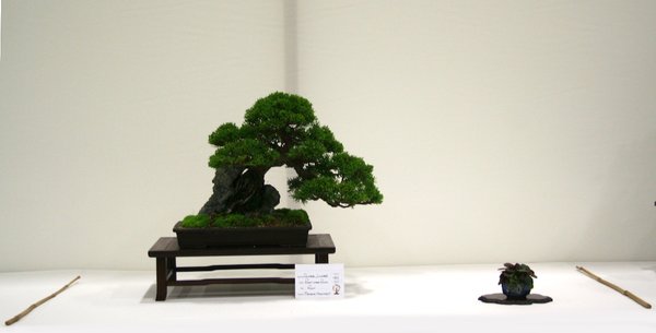 IMG_3408.jpg