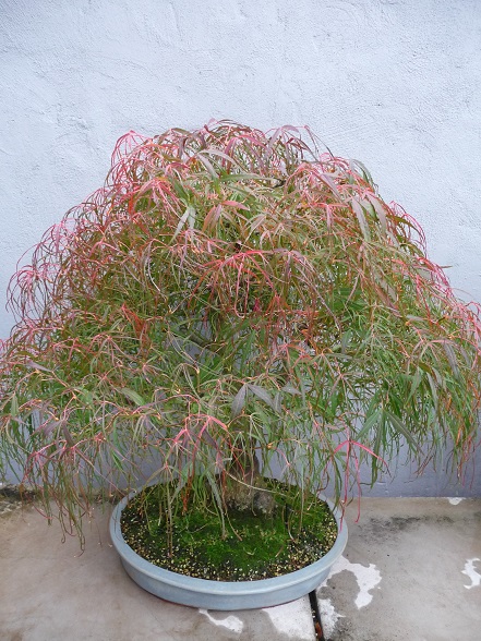 P1050092.JPG