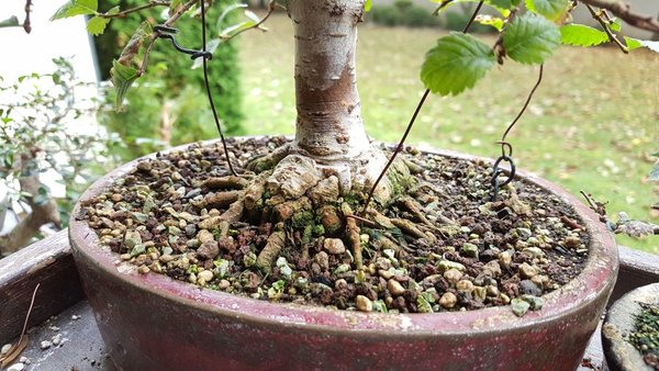 20171013_154208.jpg